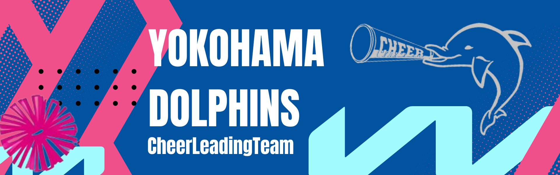 横浜ドルフィンズチアリーディングチーム公式 YOKOHAMA Dolphins